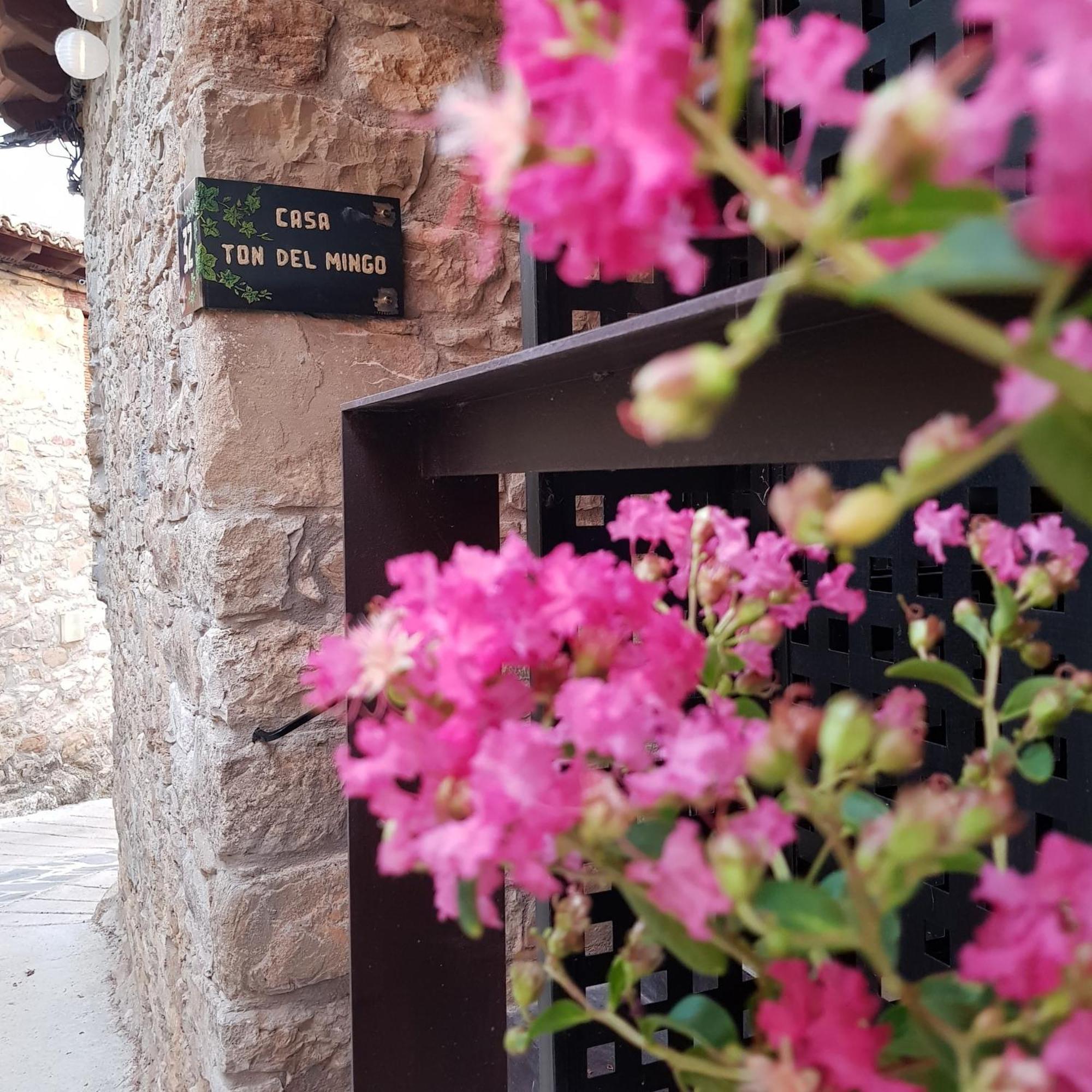 Sant Serni Casa Ton Del Mingoヴィラ エクステリア 写真